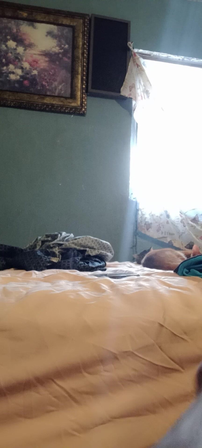 Lusi: Rubia Caliente