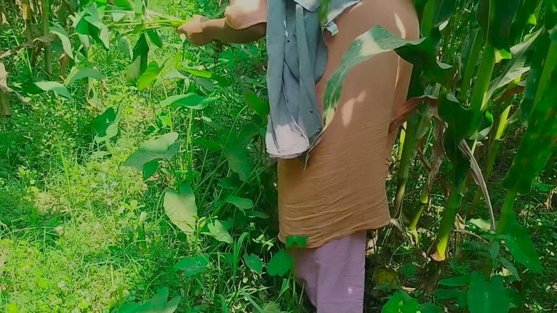 Deshi women: Gaonův desi chudai jungle mein mangal