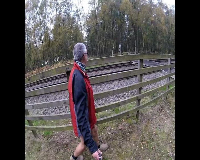 Andy: Wald