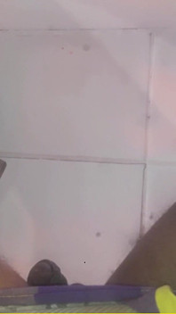 Jaanu的大黑屌像一根肉棒一样垂着