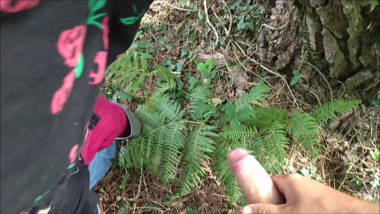 K Vw: Ungeplant im wald