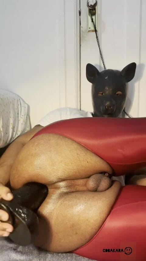 Xana_cd: Мастурбация для идиотов (идиот мастурбация) получает жесткое в конце концов, дрочу на очко это лучшее чувство...