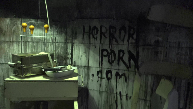 Horror porn: ホラーポルノ17:メスのクモ