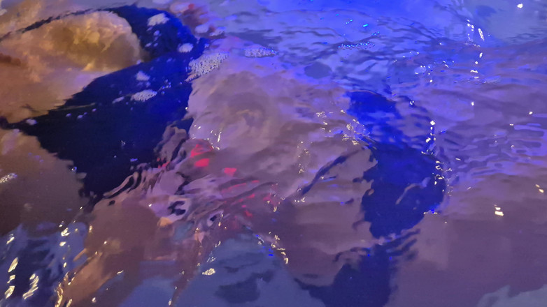 chodasse13: Sceance Jacuzzi