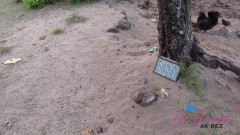 ATK Girlfriends: Lily Adams와 카우아이의 가상 휴가 4부