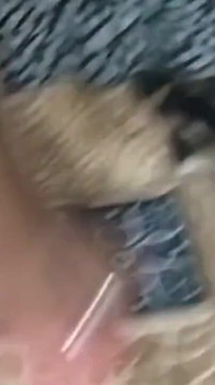 Priya Bhabhi Fuck Mg Mhalim Man