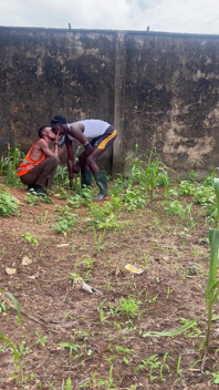 Agricultural Practice