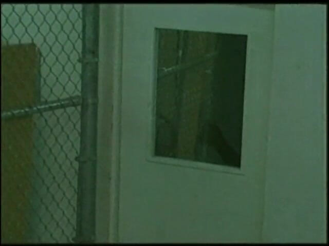 Shemale World: Waria menyemangati seorang petinju dengan blowjob yang luar biasa