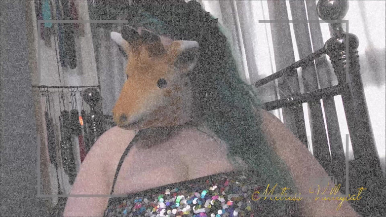 Mxtress Valleycat: Noche de purga - tu porno