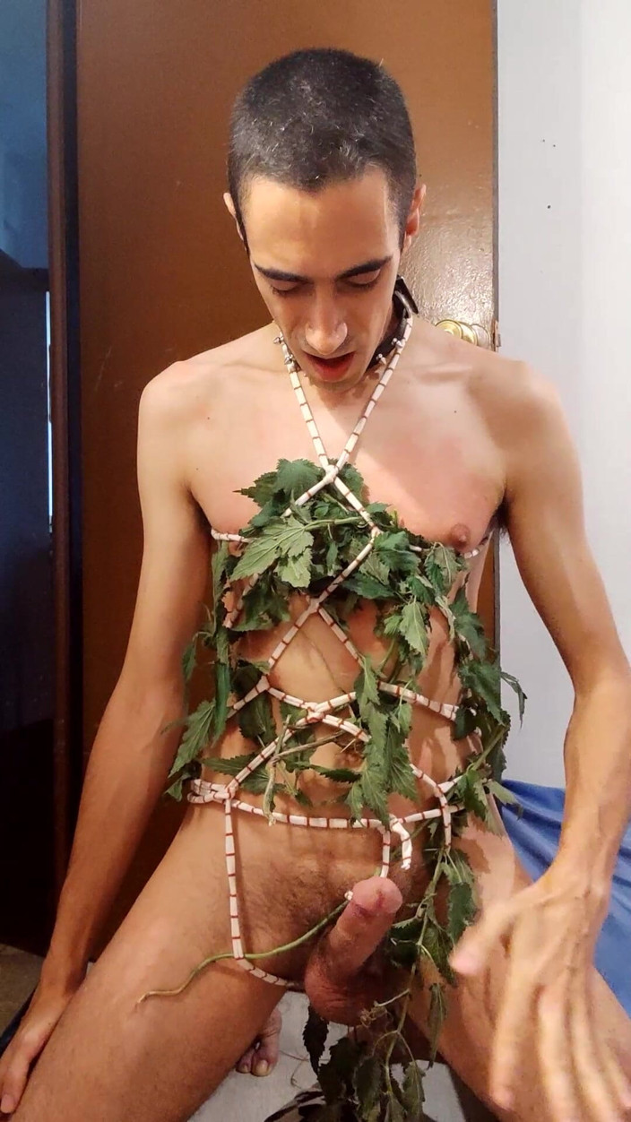 Slave Sparrow: Hraní s Nettles