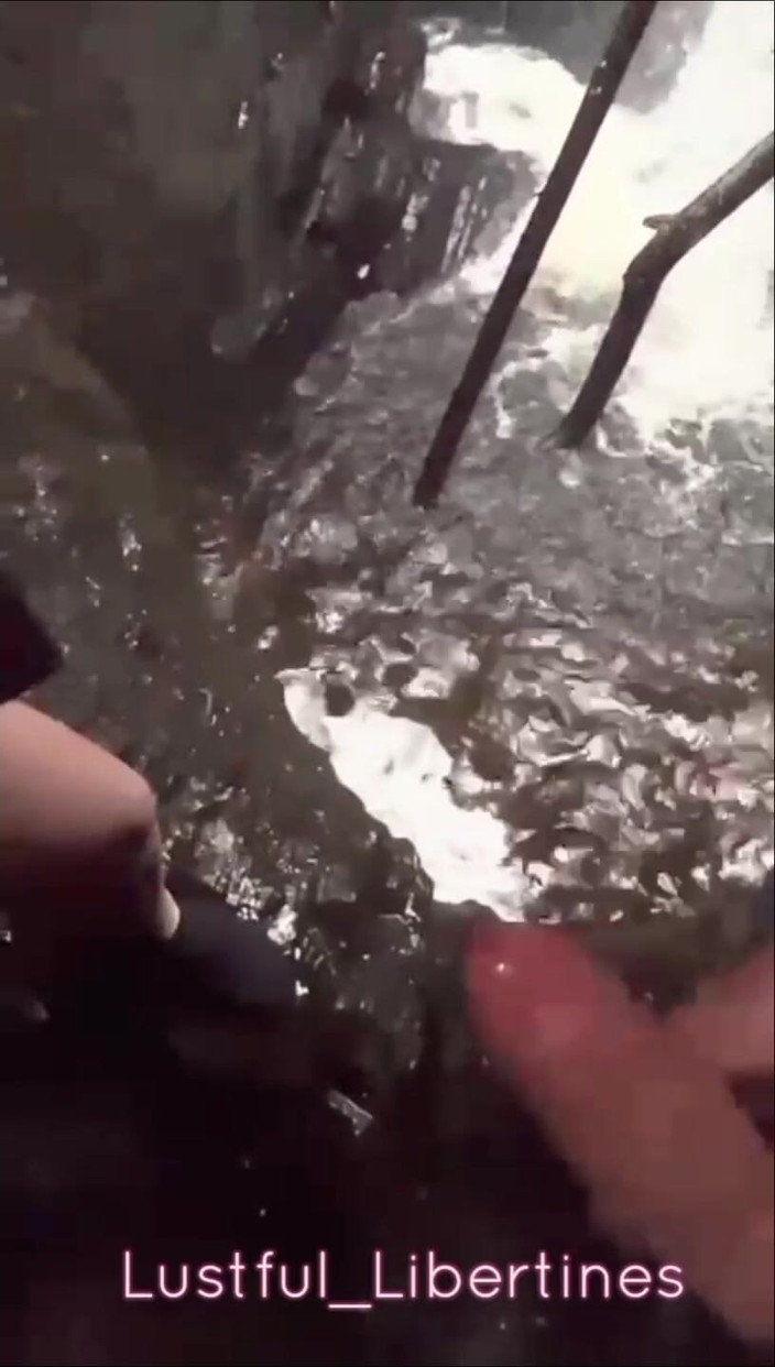 Lustful Libertines: Solo Un Po'di Boschi Che Scopano E Succhia