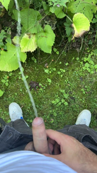 Golden Stream: Peeing in Paradise