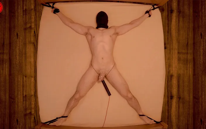 Tommy_1995: Edged to Insanity - 20 min restrained chastity vibrator prostate edging