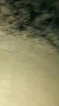 एक बड़ा लेकिन संकीर्ण।