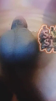 ? TS Sarah Sissy Boi Karachi