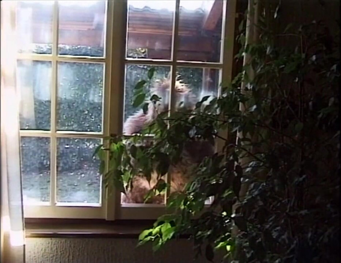 Old PIGS XXX: Величезна четвірка з подвійним проникненням на анальній вечірці