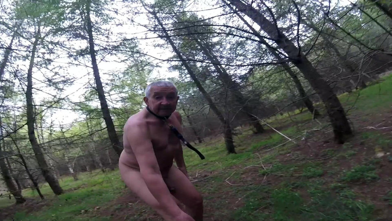 Andy: Прогулянка 20 2025