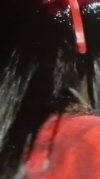 Caliente Diablita En Gloryhole