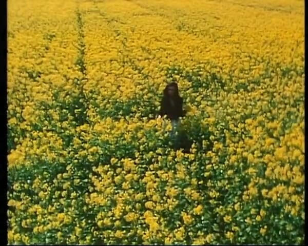 GERMAN PORN CLASSICS: Das Maedchen Des Herrn S - Grosser Klassiker