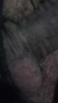 Cute Black Dick