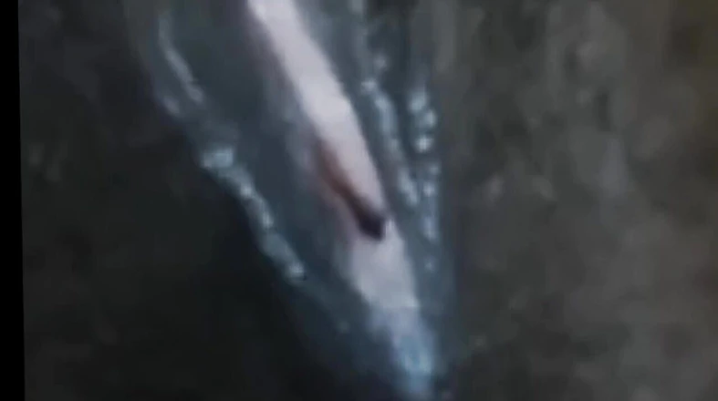 Slowly Passionate Solo Masturbation Pleasing My Black Pussy Closeup