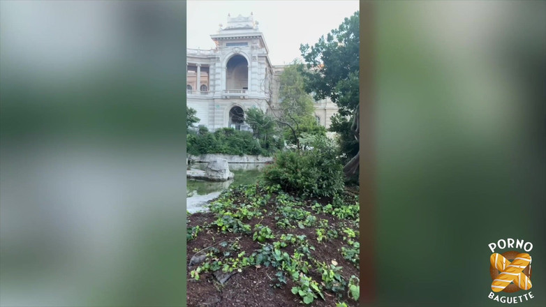 Porno Baguette: Pam，华丽的金发女郎，喜欢粗暴性爱！