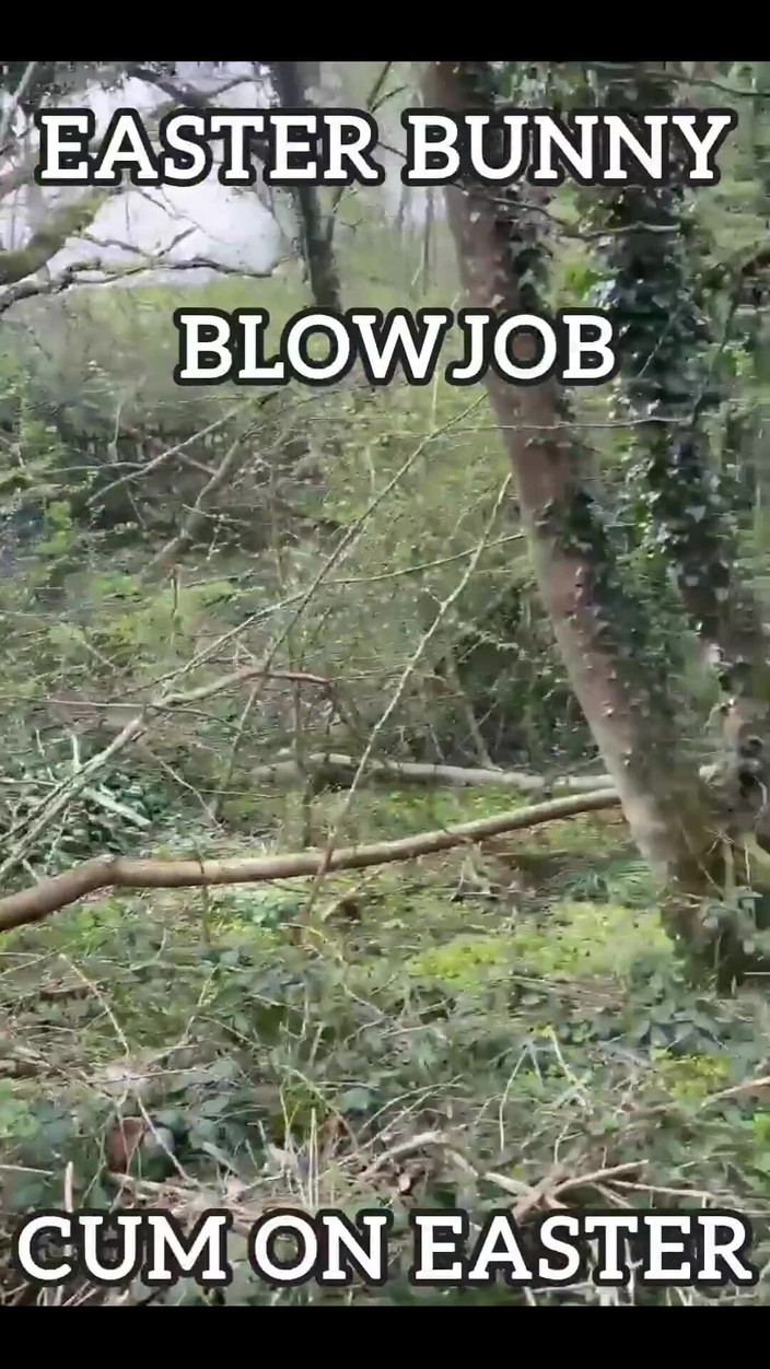 Only Owain: Easter Bunny Fun! मैं उसके अंडे एलोवर आया
