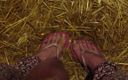Barefoot Stables: 撒尿稳定脚
