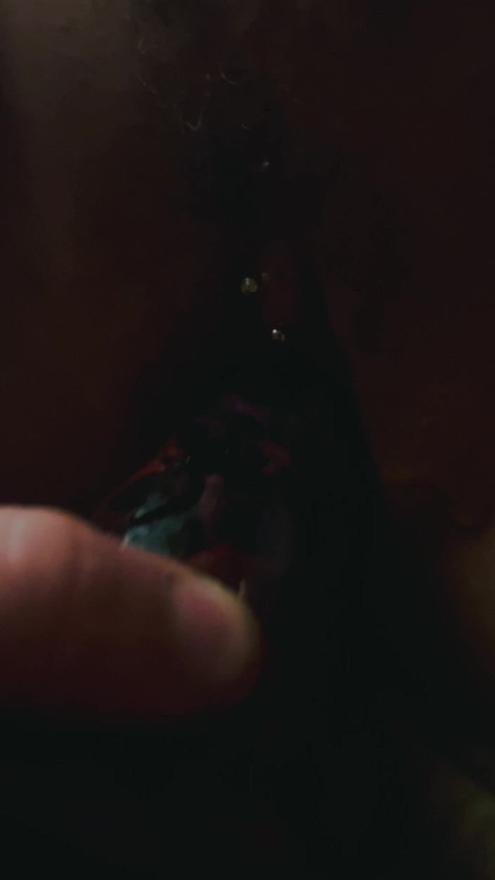 Jay Parker: Lui Paige îi plac pulele de creatură