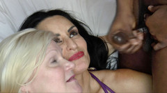Lacey Starr productions: 纽约试镜
