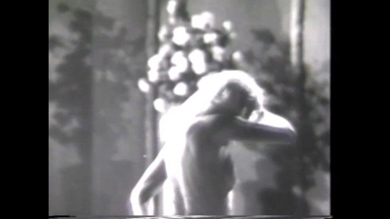 The Unforgettable: Havada Dans