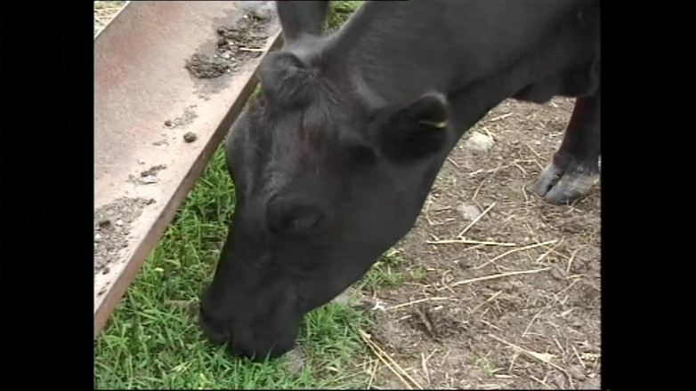 DEUTSCHLAND PORNO TV - our best full movie: ワイルドなマンコライダーは、これ以上我慢できなくなるまで荒々しいチンポファックが大好きです