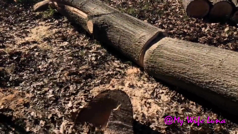 My Wife Luna: Frühjahrsjobs