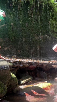Pequeno Duende encontra uma garota perdida na floresta e, em vez de ajudá-la, ele lhe dá uma deliciosa foda no rio.
