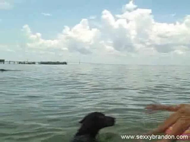 Sexxy Brandon: Sexxy Brandon: pierdut la mare