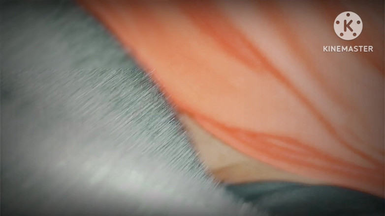 Sandeepp: Sorellastra punjabi desi video XXX
