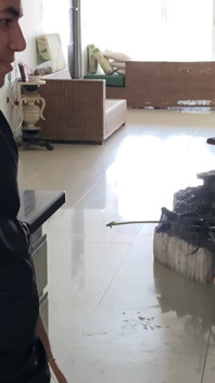 我勾引我的继兄，直到说服他和我发生关系。