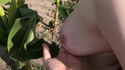Bouncy Tits Action: Schiaffeggiami nel campo di grano