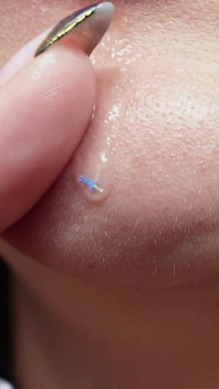 Unwitting Giantess Accidentally Fucks Tinies