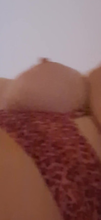 20241015