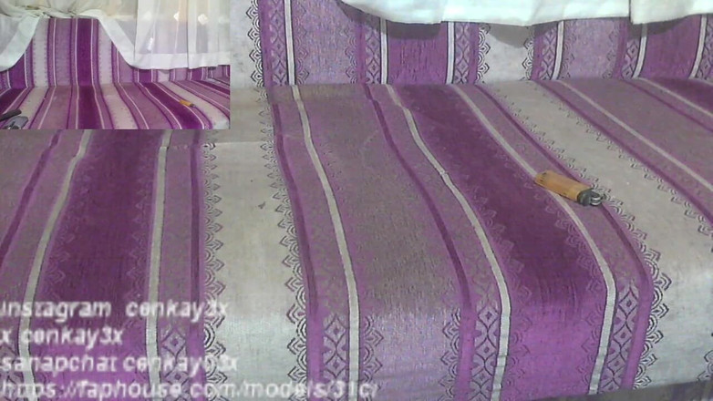 CenkAy: Papai urso foi deixado sozinho em casa