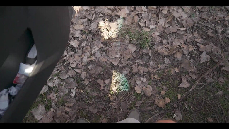 YSP Studio: 在汽车旅行期间轮到公共口交