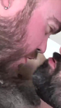 Bearfilms Beefy Cub John Lock Took Mike Cub's Meat Down His Open Throat