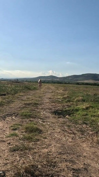 Sclava Tih Ie merge în rochia albastră