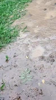 Sledování, co můj nevlastní syn dělá sám v koupelně