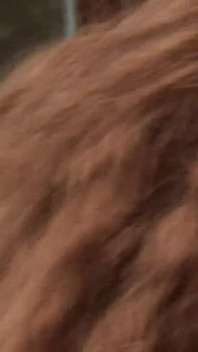 Curly-haired Babe Masturbates with Bottle in Hot Tub