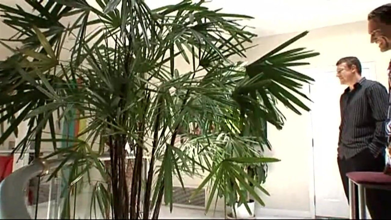 The Dark Side X: Pantat sempit gadis kulit hitam ini dientot habis-habisan sama kontol...