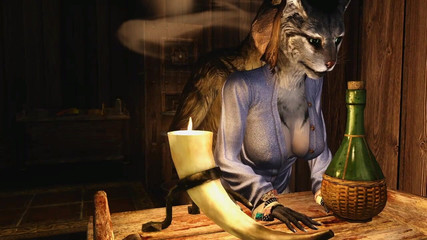 Velvixian 3 Furry: Kharjo dạy một khajiit trẻ 2
