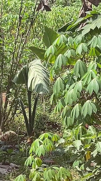 Buď rychlá, aby nás nikdo chytil (v zákulisí)