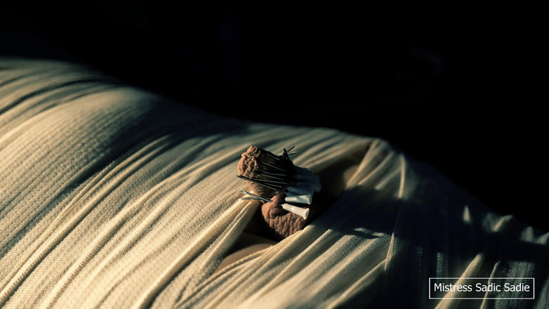 Sadic Sadie: Gioco medico con mummificazione, aghi, CBT e gioco elettronico.